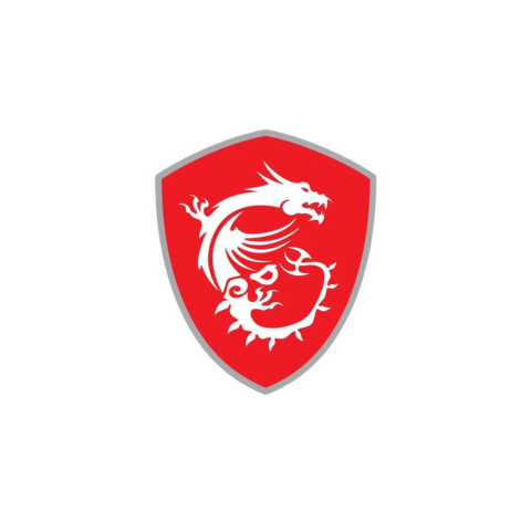 MSI